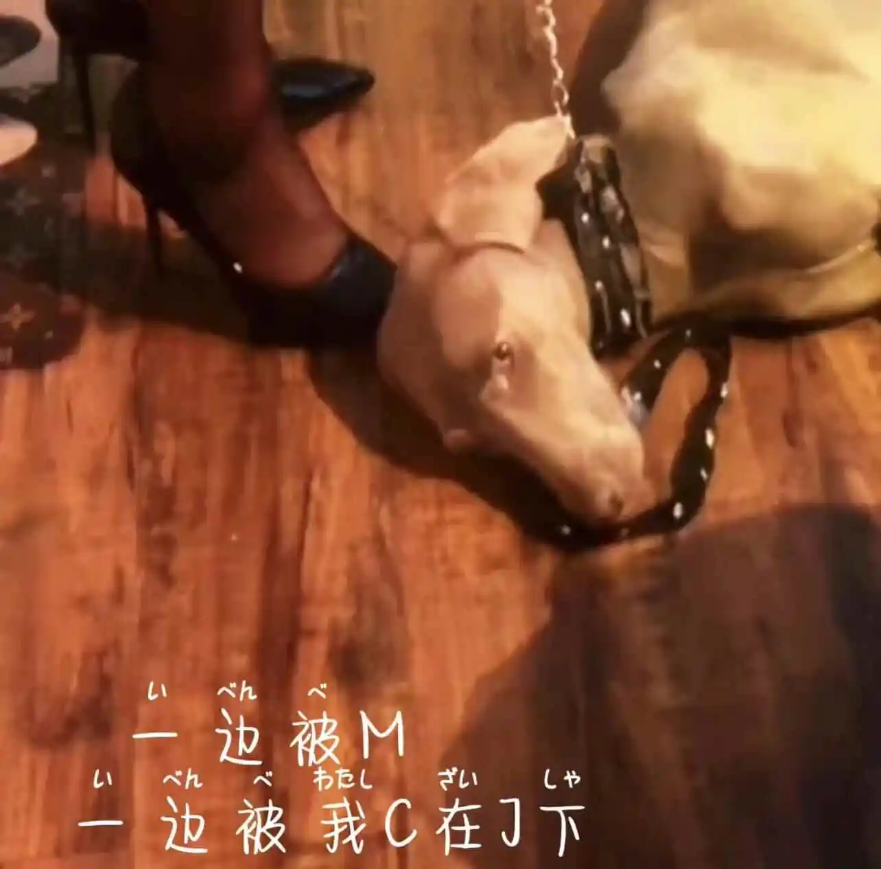 西檬之家字母圈brat属性是什么? 一