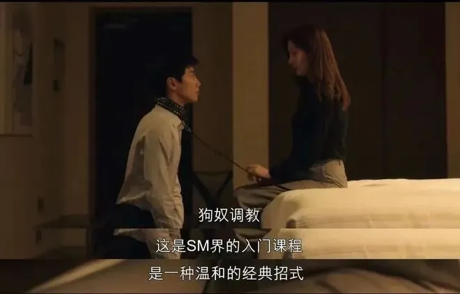 西檬之家k8猫系是什么?如何区分 一