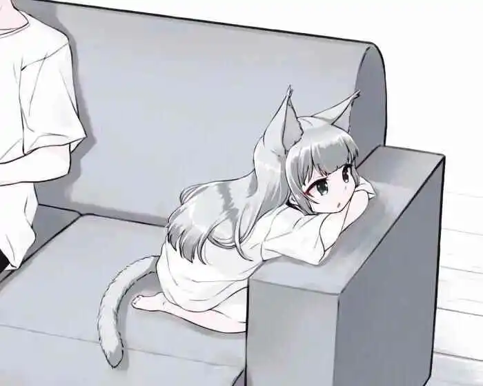 西檬之家K8猫系是什么意思? 一