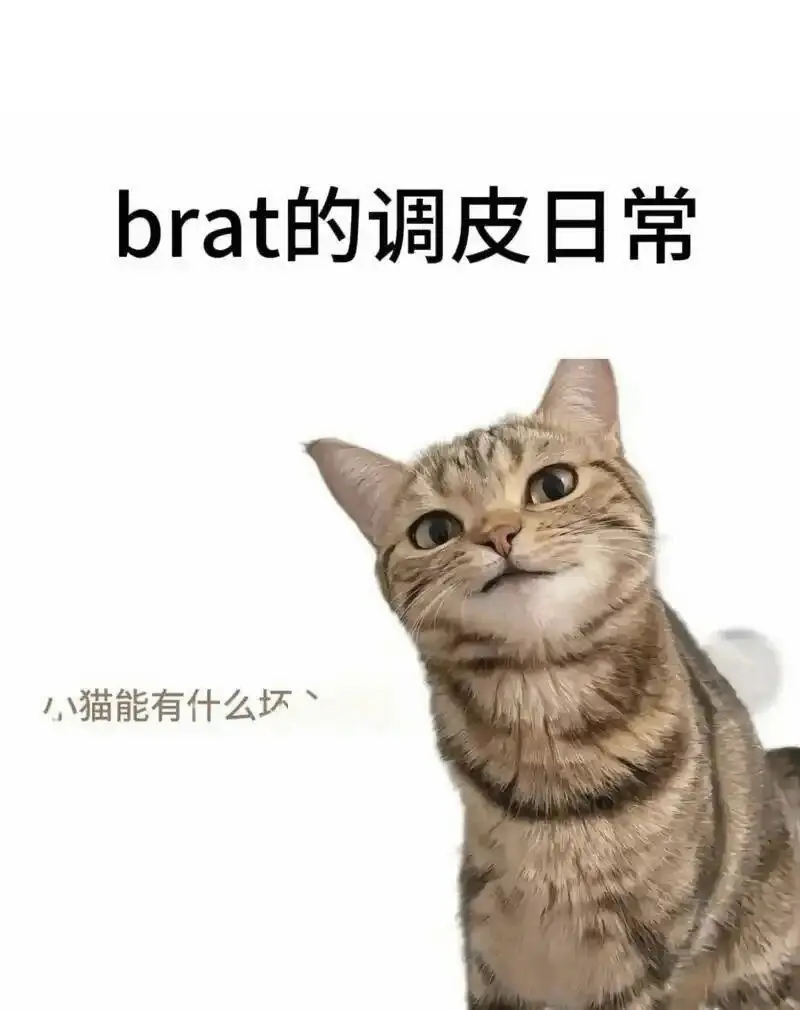 西檬之家恋足癖是什么? 一