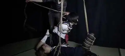 西檬之家m倾向是什么?字母圈新人必读 一