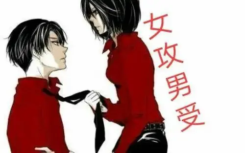 西檬之家字母圈Dom是什么意思? 一
