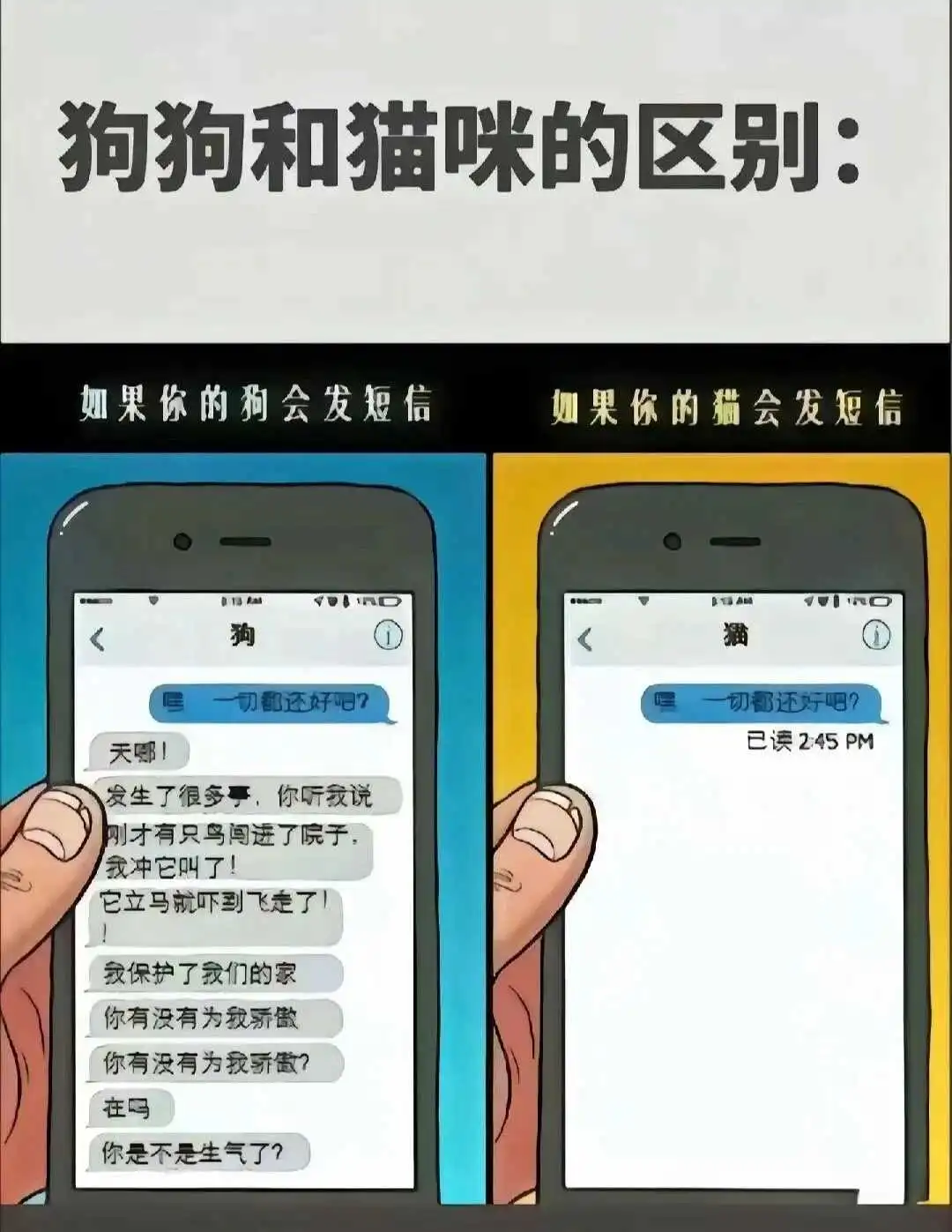 西檬之家字母圈是什么? 一
