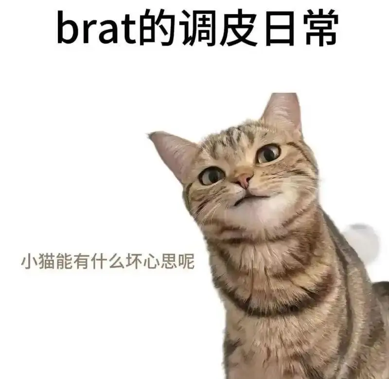 西檬之家字母圈spank是什么意思? 一