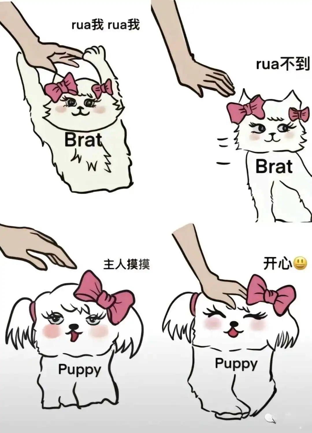西檬之家什么是brat属性?字母圈新人必读 一