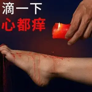 西檬之家k9犬系是什么?字母圈新人必读 一